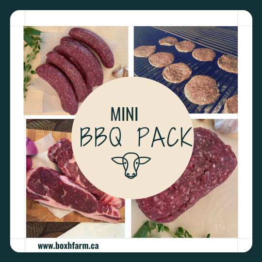 Mini BBQ Pack