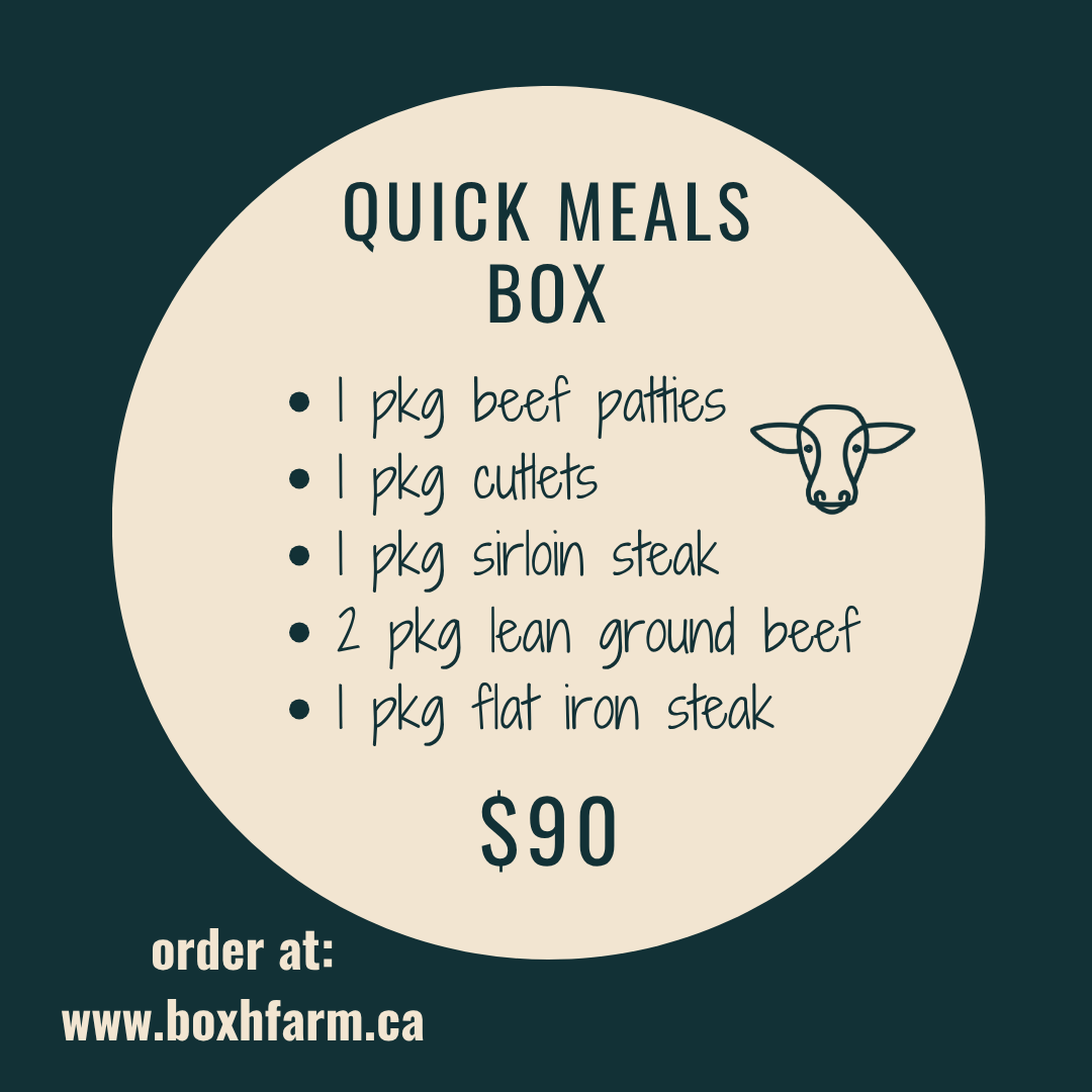 Quick Meals Box