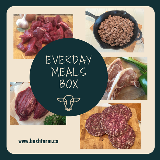 Everyday Mixed Box